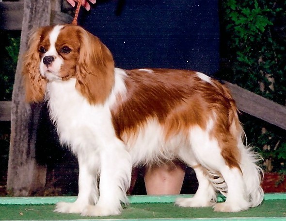 Hillwood Kodak Moment - Kodak 