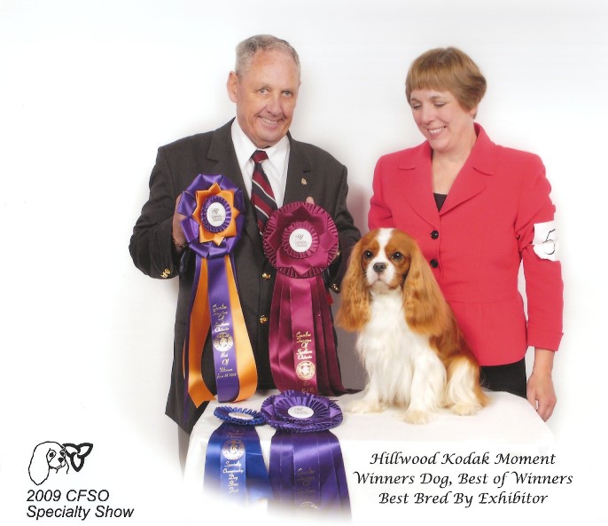 Hillwood Kodak Moment - Kodak 