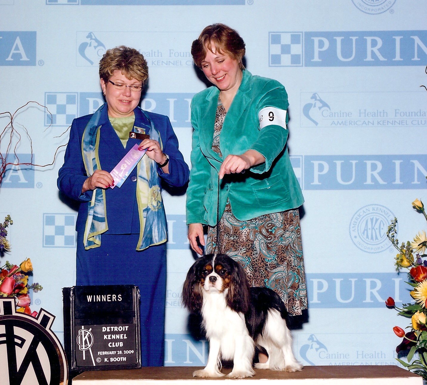 Ch. Hillwood Picture This - PT